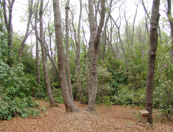 Parque Nacional Altos de Lircay